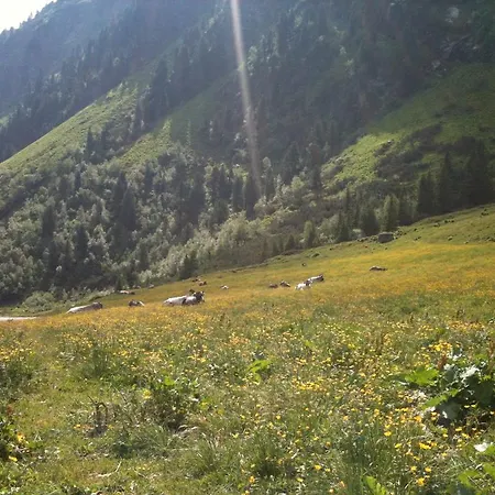 Auen * Neustift im Stubaital