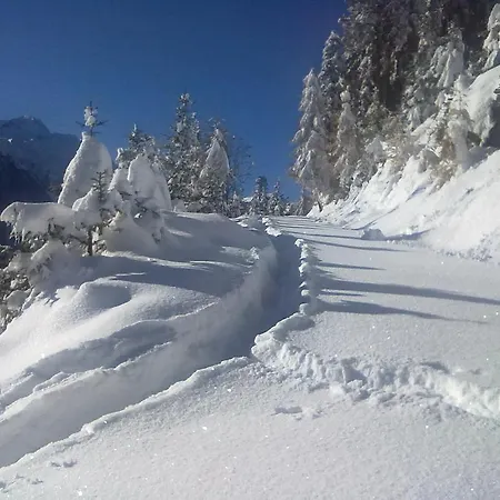 Auen Neustift im Stubaital