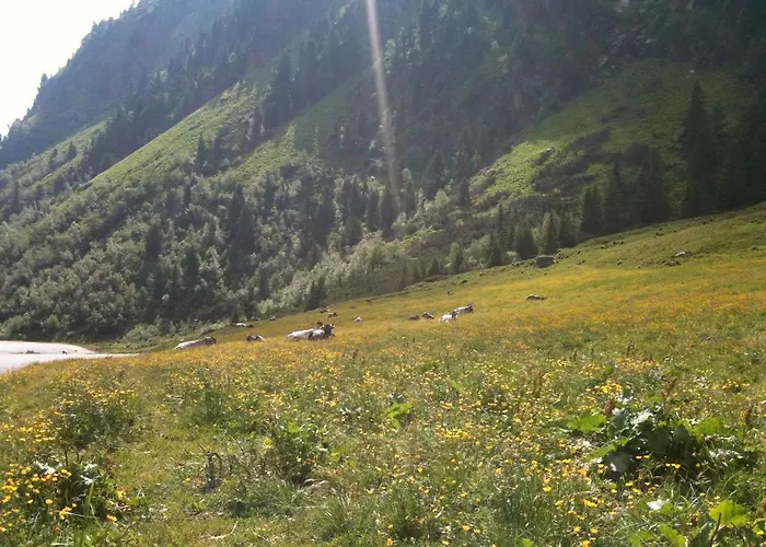 Landhaus Auen * نيوستيف ام ستوبيتا