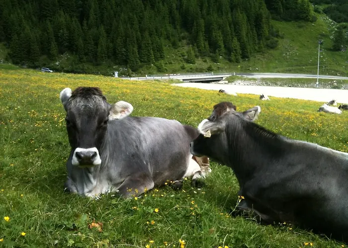 公寓 奥恩旅馆 *